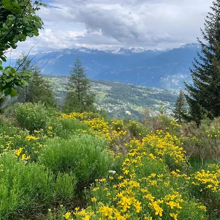 Balcon Des Alpes Anzère